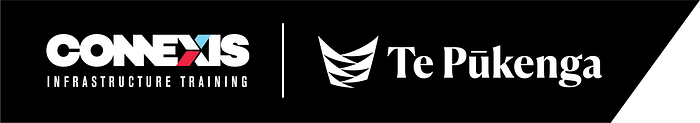 Palmerston North ESI/Telco/other Assessor Forum logo